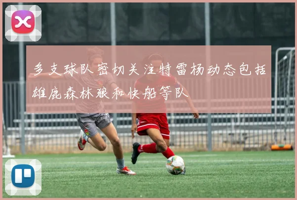 多支球队密切关注特雷杨动态包括雄鹿森林狼和快船等队