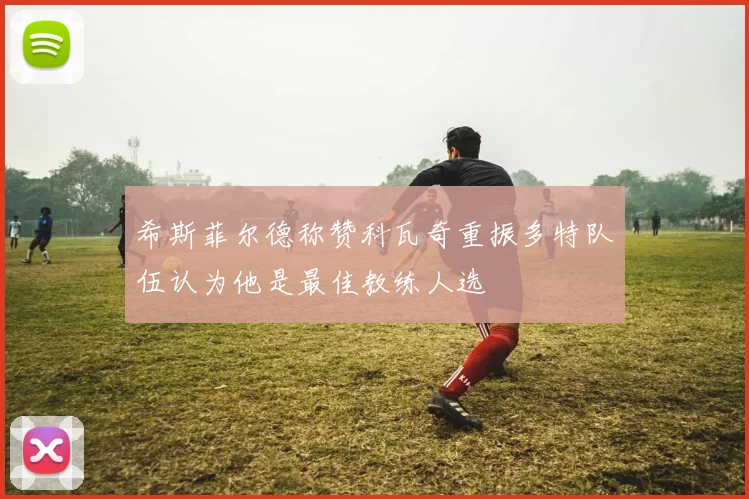 希斯菲尔德称赞科瓦奇重振多特队伍认为他是最佳教练人选