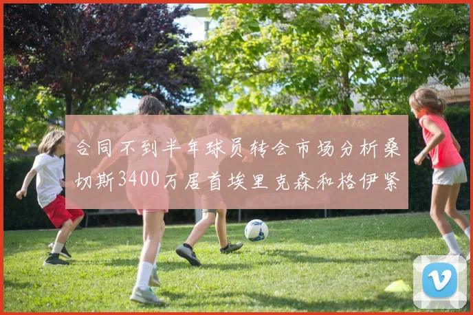合同不到半年球员转会市场分析桑切斯3400万居首埃里克森和格伊紧随其后